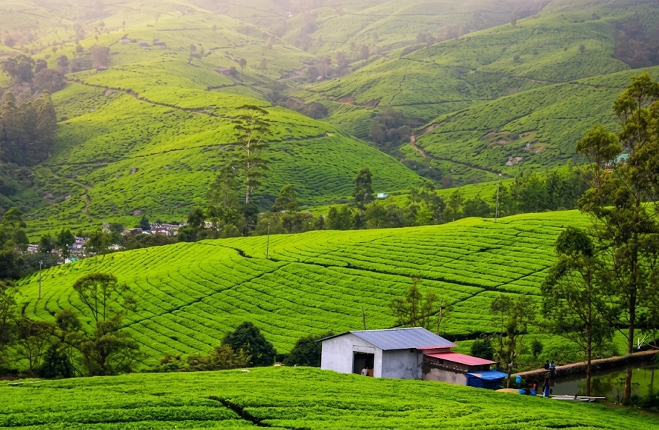 Explore Kerala with Ride97